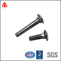 Stainless steel carriage bolt